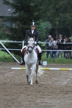 Bild 389 - WBO-Turnier am 18.9.11